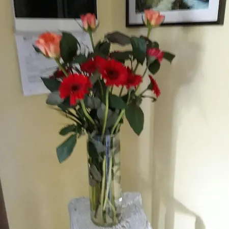 Panzió Del Borgo 3*